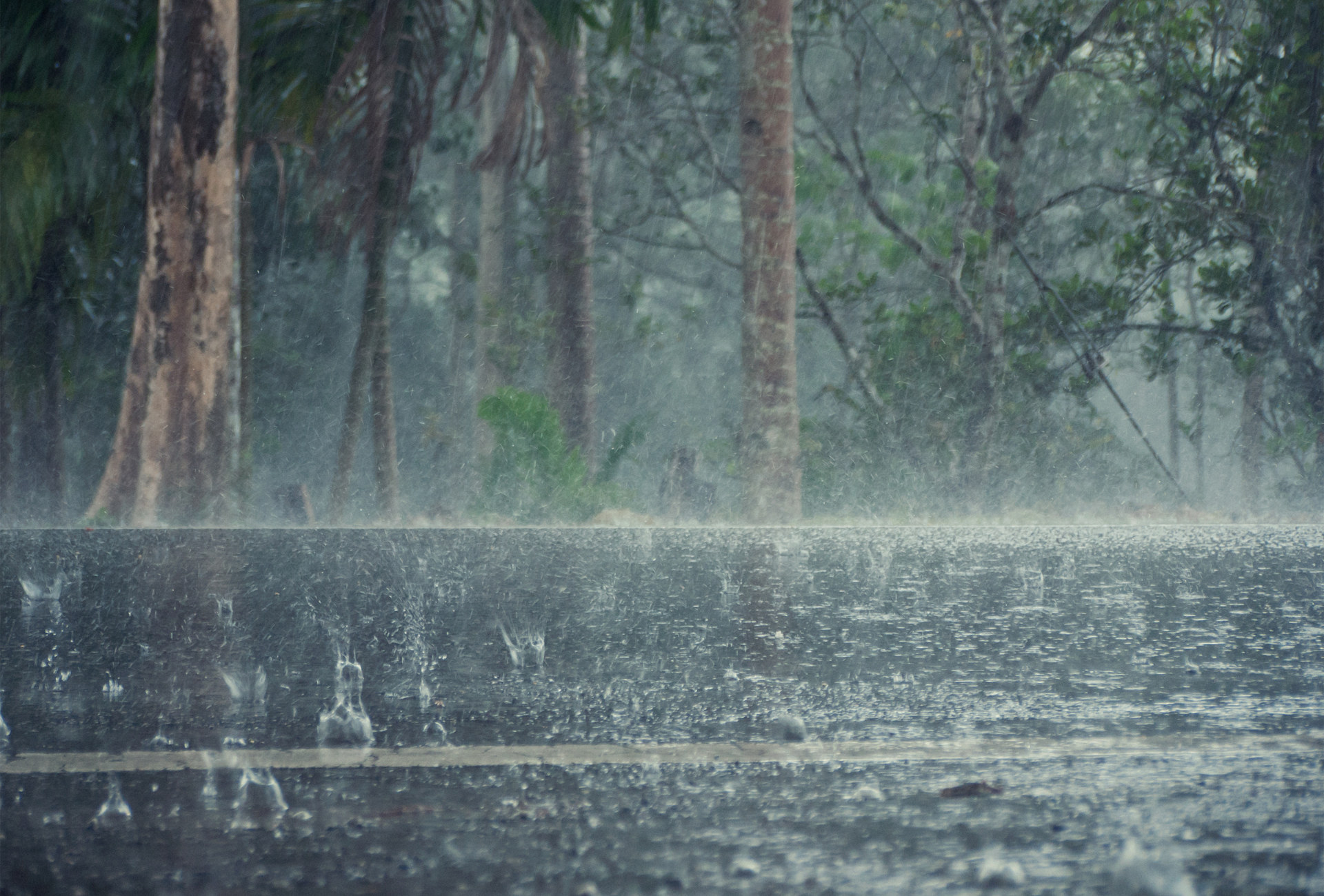 Villalba: humedad, lluvia y plagas que afectan a hogares y naturaleza