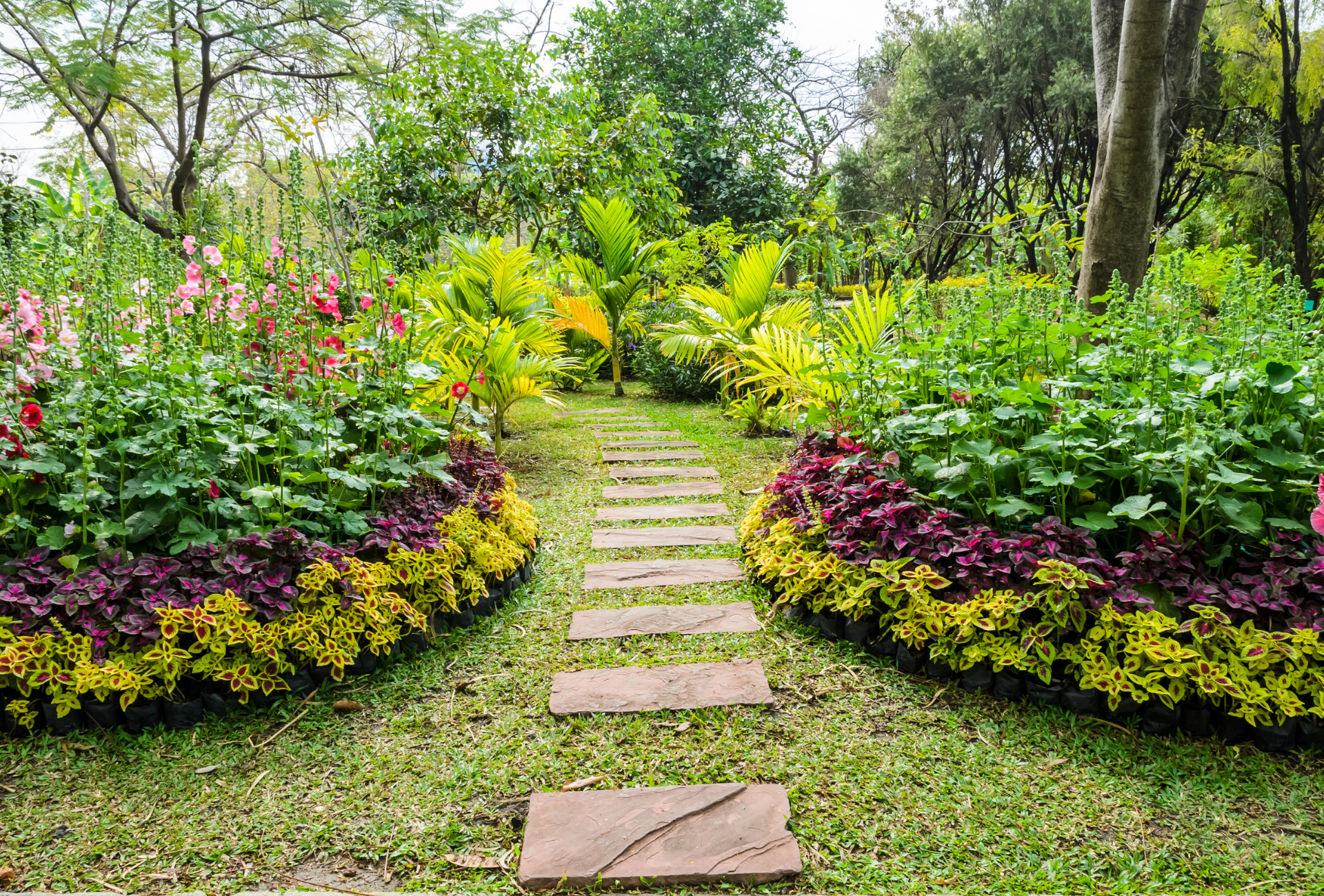 Control y prevención de plagas en jardines de Villalba: cómo mantenerlos saludables tras la lluvia